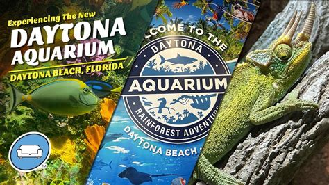 daytona aquarium and rainforest experience.